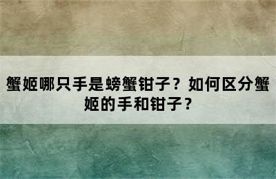 蟹姬哪只手是螃蟹钳子？如何区分蟹姬的手和钳子？