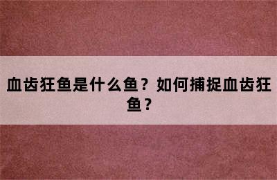 血齿狂鱼是什么鱼？如何捕捉血齿狂鱼？