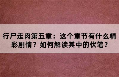 行尸走肉第五章：这个章节有什么精彩剧情？如何解读其中的伏笔？