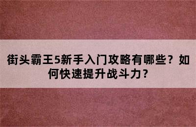 街头霸王5新手入门攻略有哪些？如何快速提升战斗力？