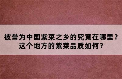 被誉为中国紫菜之乡的究竟在哪里？这个地方的紫菜品质如何？