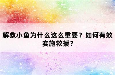 解救小鱼为什么这么重要？如何有效实施救援？