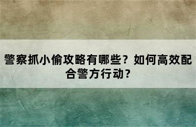 警察抓小偷攻略有哪些？如何高效配合警方行动？