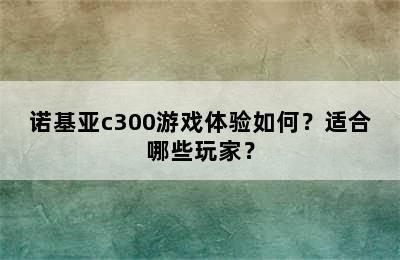 诺基亚c300游戏体验如何？适合哪些玩家？