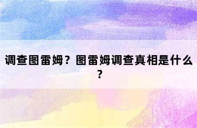 调查图雷姆？图雷姆调查真相是什么？