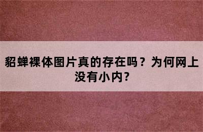 貂蝉裸体图片真的存在吗？为何网上没有小内？