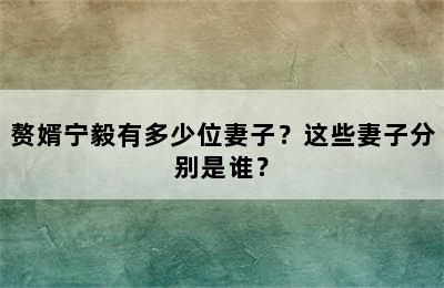 赘婿宁毅有多少位妻子？这些妻子分别是谁？