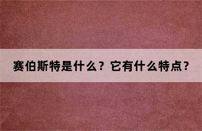 赛伯斯特是什么？它有什么特点？