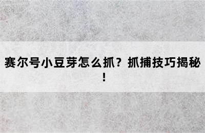 赛尔号小豆芽怎么抓？抓捕技巧揭秘！