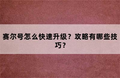 赛尔号怎么快速升级？攻略有哪些技巧？