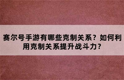 赛尔号手游有哪些克制关系？如何利用克制关系提升战斗力？