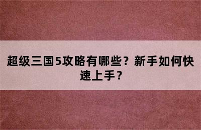 超级三国5攻略有哪些？新手如何快速上手？