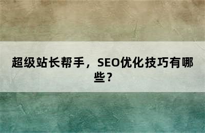 超级站长帮手，SEO优化技巧有哪些？