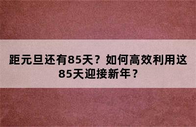 距元旦还有85天？如何高效利用这85天迎接新年？