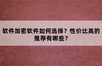 软件加密软件如何选择？性价比高的推荐有哪些？