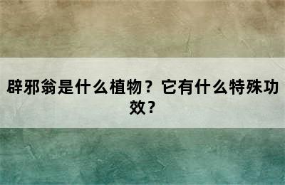 辟邪翁是什么植物？它有什么特殊功效？