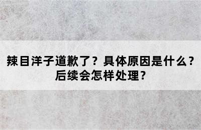 辣目洋子道歉了？具体原因是什么？后续会怎样处理？