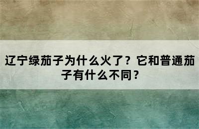 辽宁绿茄子为什么火了？它和普通茄子有什么不同？