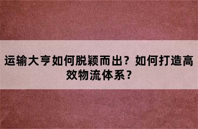 运输大亨如何脱颖而出？如何打造高效物流体系？