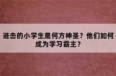 进击的小学生是何方神圣？他们如何成为学习霸主？