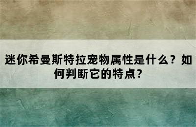 迷你希曼斯特拉宠物属性是什么？如何判断它的特点？