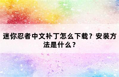 迷你忍者中文补丁怎么下载？安装方法是什么？