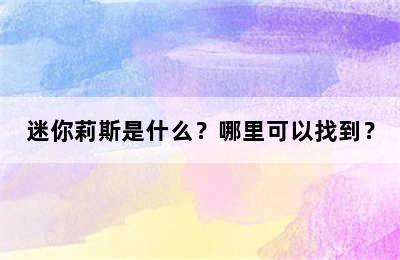 迷你莉斯是什么？哪里可以找到？