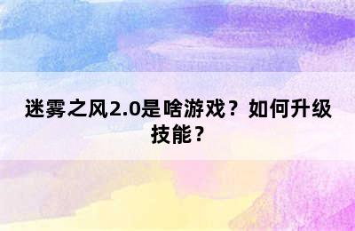 迷雾之风2.0是啥游戏？如何升级技能？