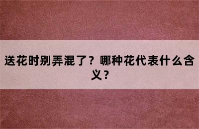 送花时别弄混了？哪种花代表什么含义？