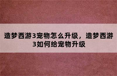 造梦西游3宠物怎么升级，造梦西游3如何给宠物升级