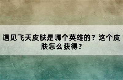 遇见飞天皮肤是哪个英雄的？这个皮肤怎么获得？