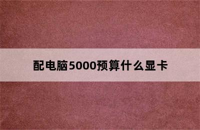 配电脑5000预算什么显卡