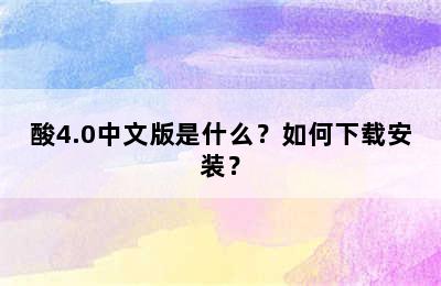 酸4.0中文版是什么？如何下载安装？