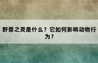 野兽之灵是什么？它如何影响动物行为？