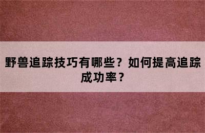 野兽追踪技巧有哪些？如何提高追踪成功率？