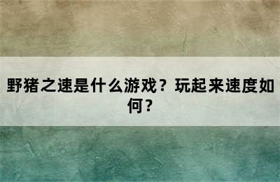 野猪之速是什么游戏？玩起来速度如何？