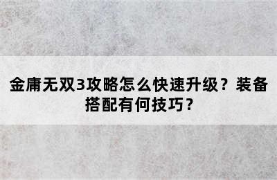 金庸无双3攻略怎么快速升级？装备搭配有何技巧？