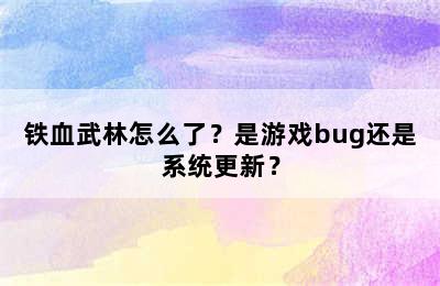 铁血武林怎么了？是游戏bug还是系统更新？