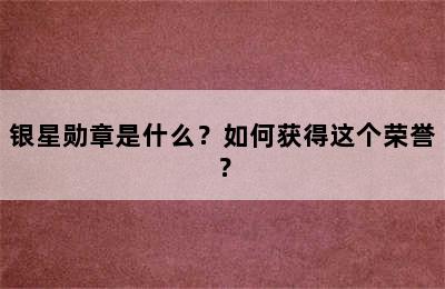 银星勋章是什么？如何获得这个荣誉？