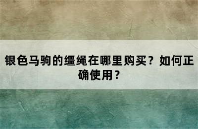 银色马驹的缰绳在哪里购买？如何正确使用？