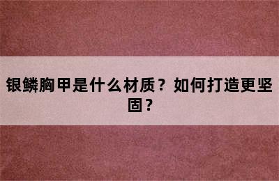 银鳞胸甲是什么材质？如何打造更坚固？