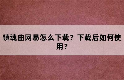 镇魂曲网易怎么下载？下载后如何使用？