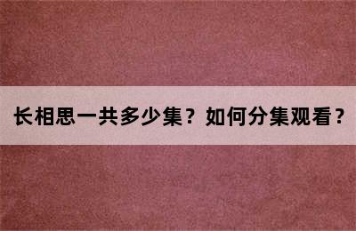 长相思一共多少集？如何分集观看？