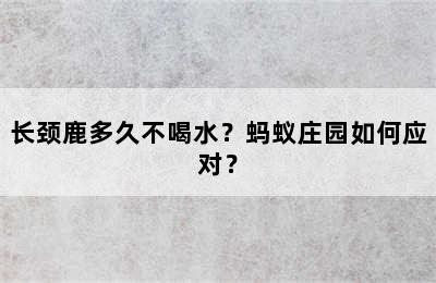 长颈鹿多久不喝水？蚂蚁庄园如何应对？