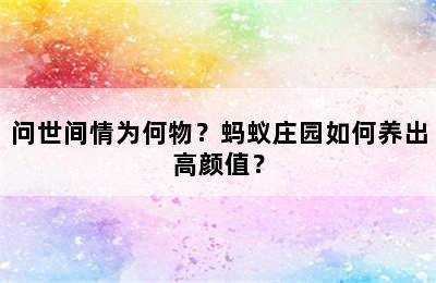 问世间情为何物？蚂蚁庄园如何养出高颜值？