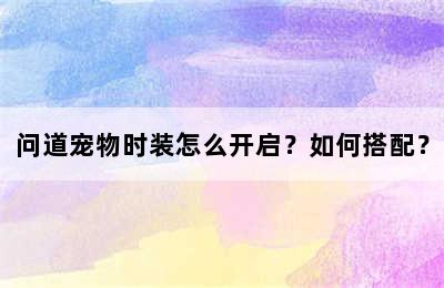 问道宠物时装怎么开启？如何搭配？