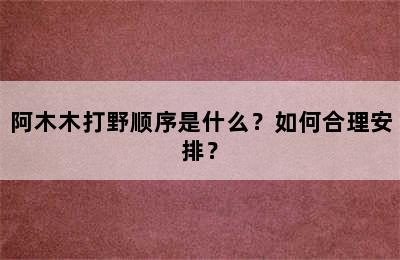 阿木木打野顺序是什么？如何合理安排？