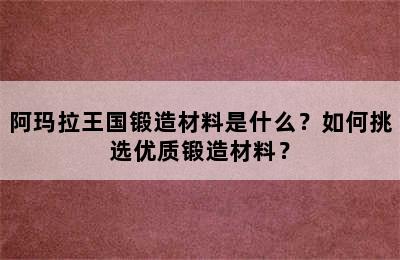 阿玛拉王国锻造材料是什么？如何挑选优质锻造材料？