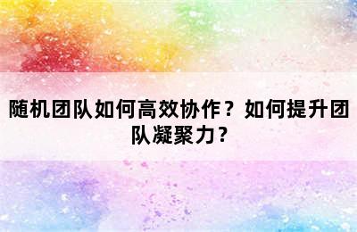 随机团队如何高效协作？如何提升团队凝聚力？