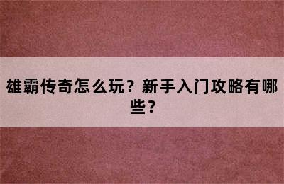 雄霸传奇怎么玩？新手入门攻略有哪些？